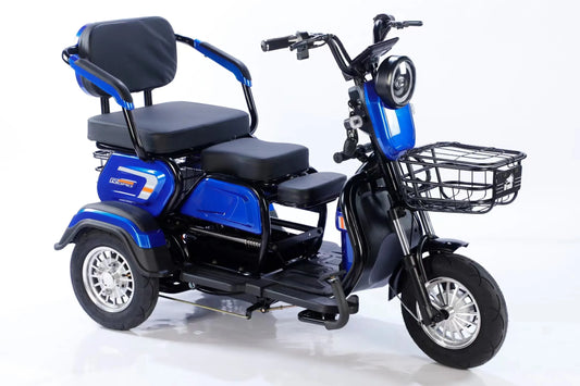 The Electric Tricycle  Is 600W, 48V Lead-acid Battery with Charger for Home and Commercial Use